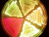 colors1